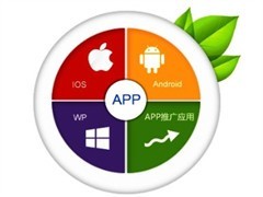 济南历城应用软件开发 驱动创新与发展的核心力量